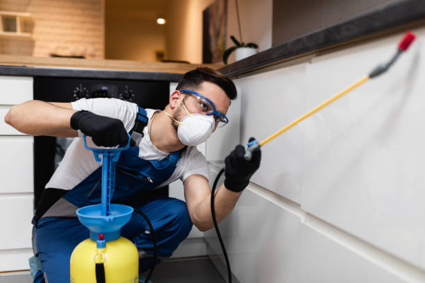 Best Wasp Removal Services  in Pocatello, ID