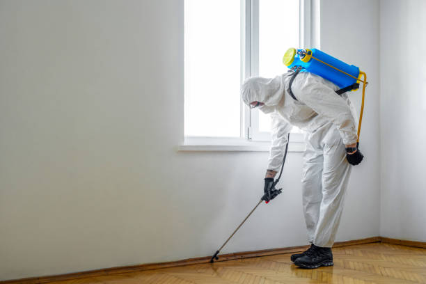 Best Local Pest Control Services  in Pocatello, ID