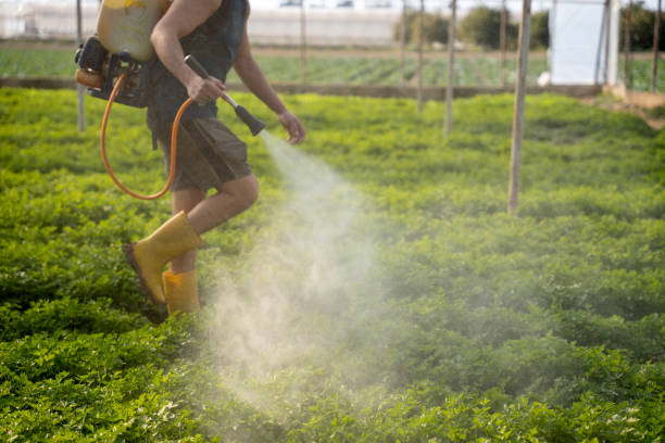 Best Pest Prevention Services  in Pocatello, ID