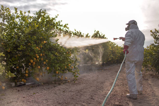Best Residential Pest Control  in Pocatello, ID