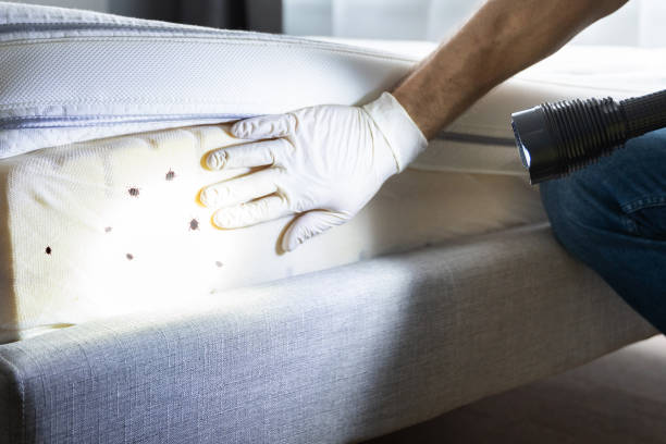 Best Best Pest Control Companies  in Pocatello, ID