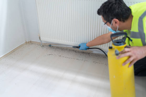 Best Emergency Pest Control  in Pocatello, ID